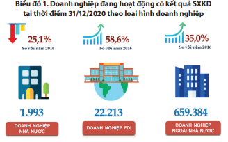 Tổng điều tra kinh tế 2021 kết quả sơ bộ về doanh nghiệp và hợp tác xã 1
