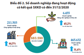 Tổng điều tra kinh tế 2021 kết quả sơ bộ về doanh nghiệp và hợp tác xã 2