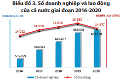 Tổng điều tra kinh tế 2021 kết quả sơ bộ về doanh nghiệp và hợp tác xã