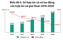 Tổng điều tra kinh tế 2021 kết quả sơ bộ về doanh nghiệp và hợp tác xã 4