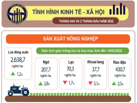 Infographic Tình hình kinh tế - xã hội tháng 02 năm 2022