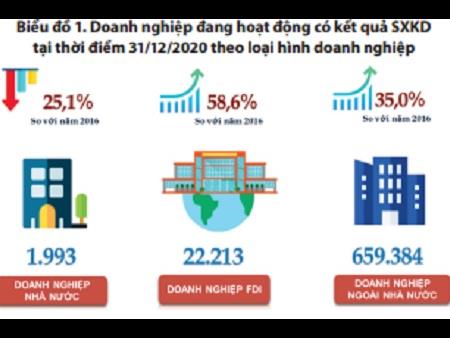 Tổng điều tra kinh tế 2021 kết quả sơ bộ về doanh nghiệp và hợp tác xã