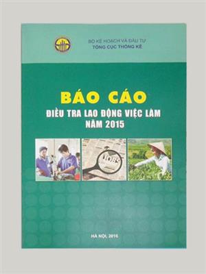 Báo cáo điều tra lao động việc làm năm 2015