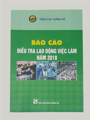 Báo cáo điều tra lao động việc làm năm 2018