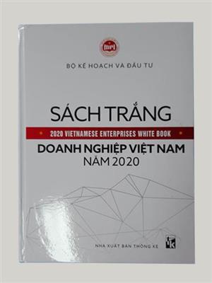 Sách trắng doanh nghiệp Việt Nam năm 2020